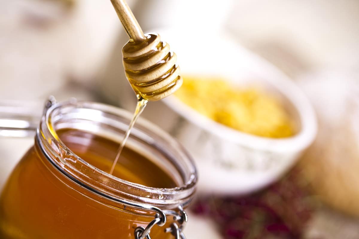 Forest-Honey.jpg Honey - Image 1