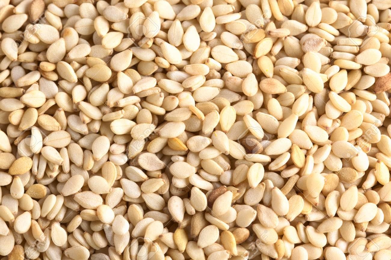 SESAME WHITE WHITE SESAME SEEDS 100 GMS - Image 1