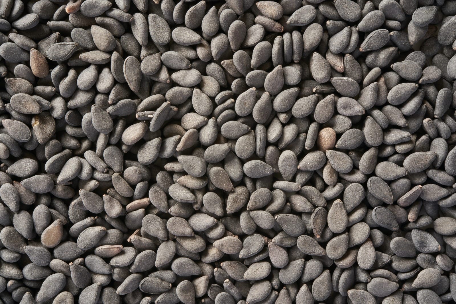 SESAME BLACK BLACK SESAME SEEDS 100 GMS - Image 1
