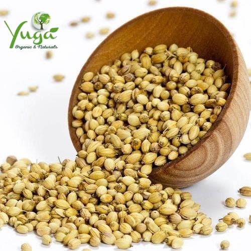 CORIANDER SEEDS - Image 1