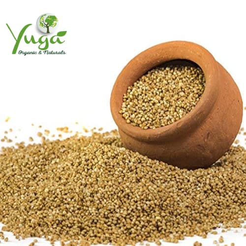 43-LITTLE-or-SAME-or-SAMAI.jpg LITTLE MILLET - Image 1
