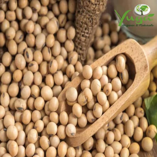 HORSE SOYA BEAN WHOLE 500GMS