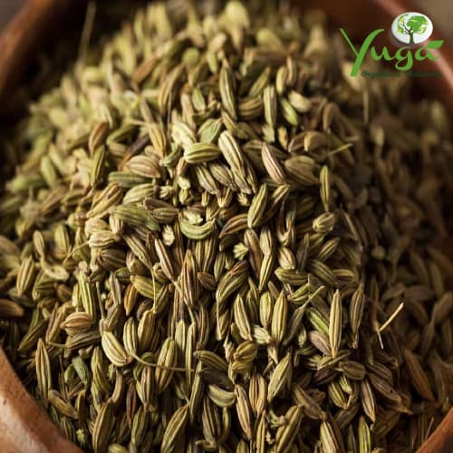 FENNEL / SANUF 100 GMS
