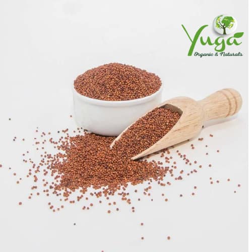 NATTI RAAGI MILLET