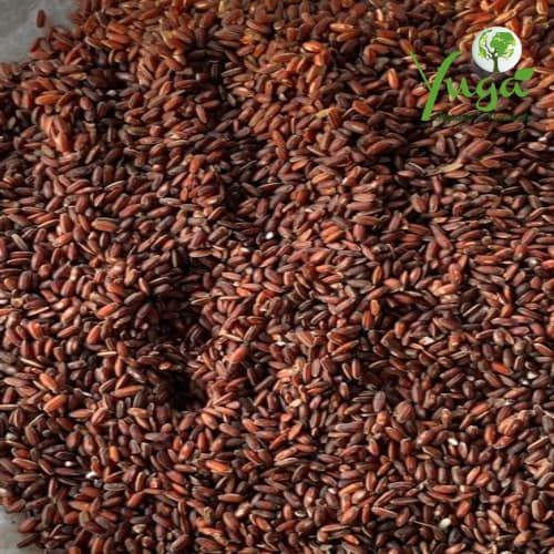 POONGAR RICE 1KG