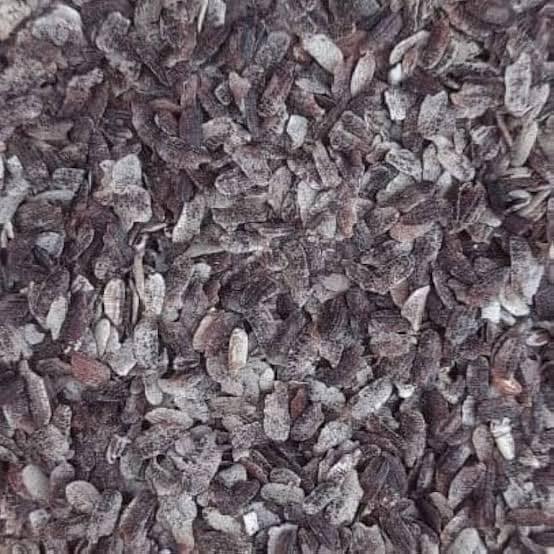 pha black ORGANIC POHA BLACK 500GM - Image 1