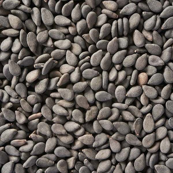 BLACK SESAME SEEDS 100 GMS