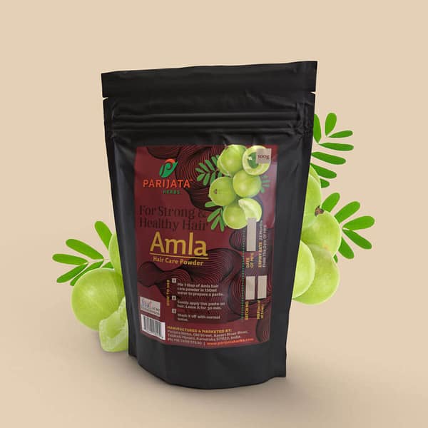HAIRCARE AMLA POWDER 100 GM