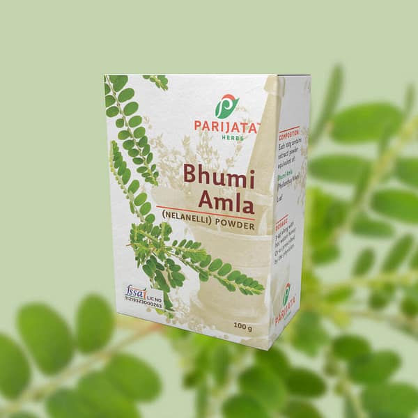 EDIBLE BHUMI AMLA POWDER 100GMS