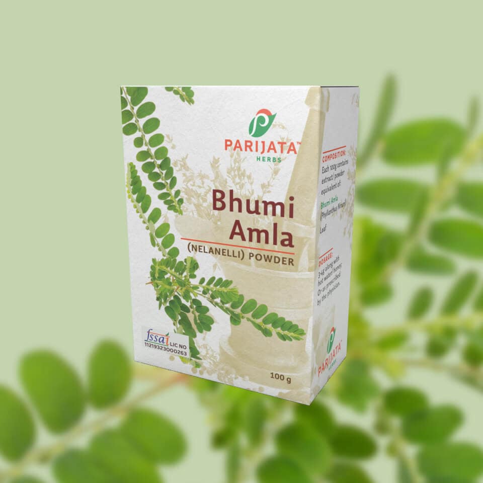 BHUMI EDIBLE BHUMI AMLA POWDER 100GMS - Image 1