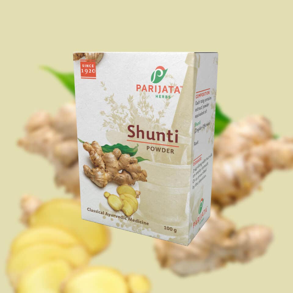 EDIBLE SHUNTI SHUNTI / DRY GINGER POWDER 100GMS - Image 1
