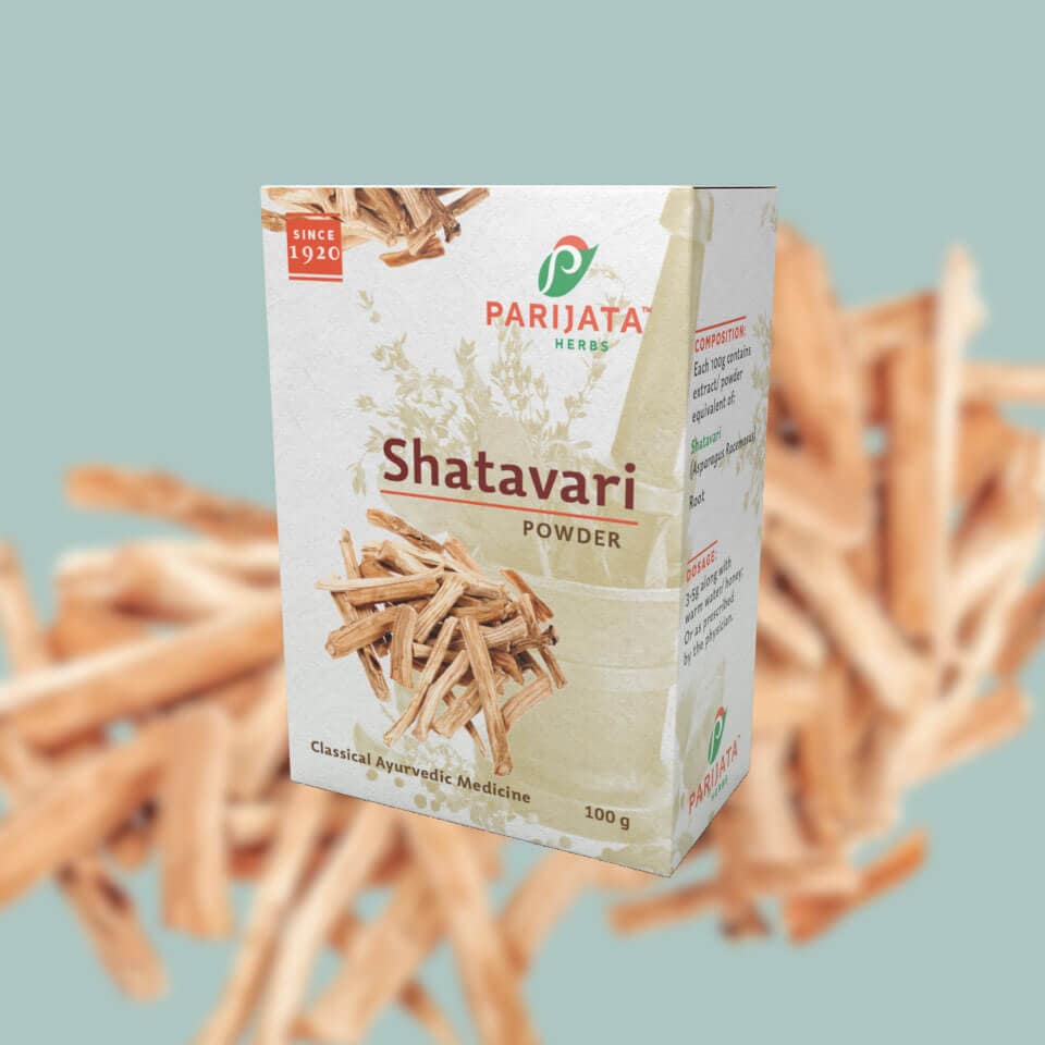 SHATAVARI SHATAVARI POWDER 100GMS - Image 1